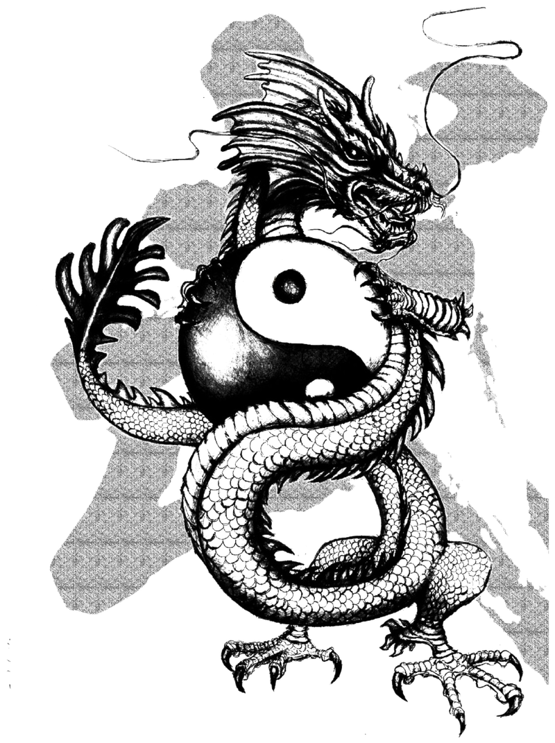 Logo Škola Čínskeho Wushu